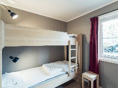 tekst