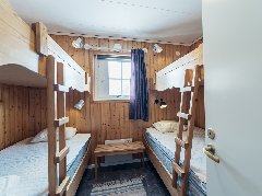 tekst