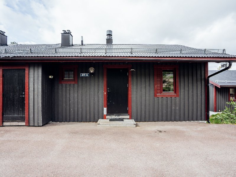 tekst