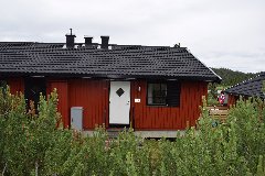 tekst