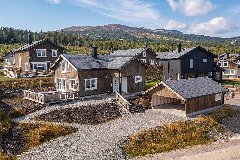 tekst