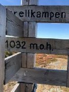 tekst