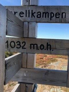 tekst
