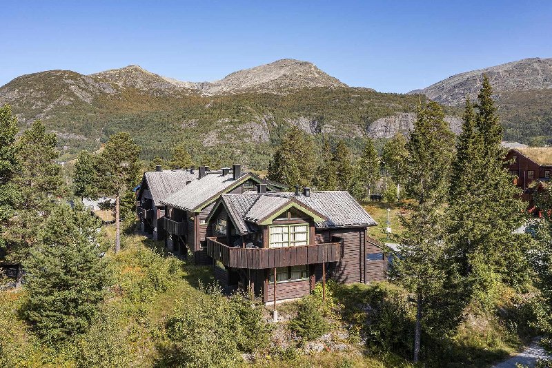 tekst