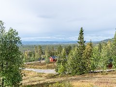 tekst