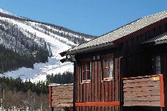 tekst
