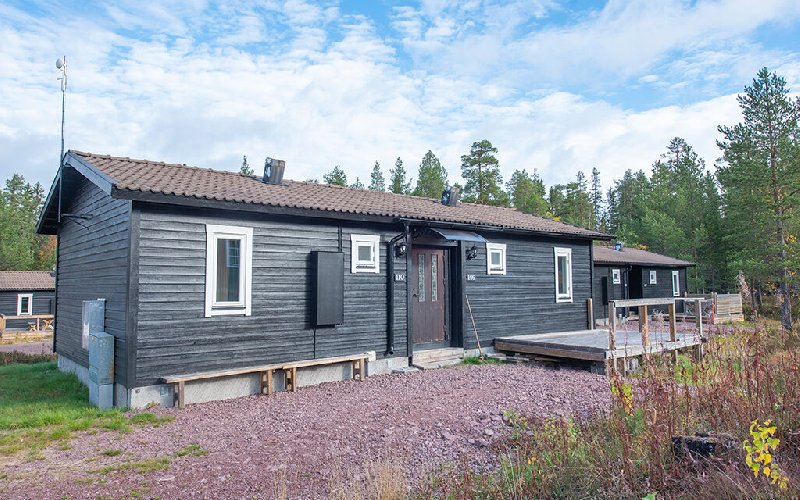 tekst