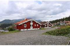 tekst