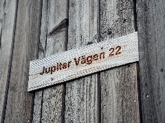 tekst