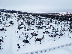 tekst