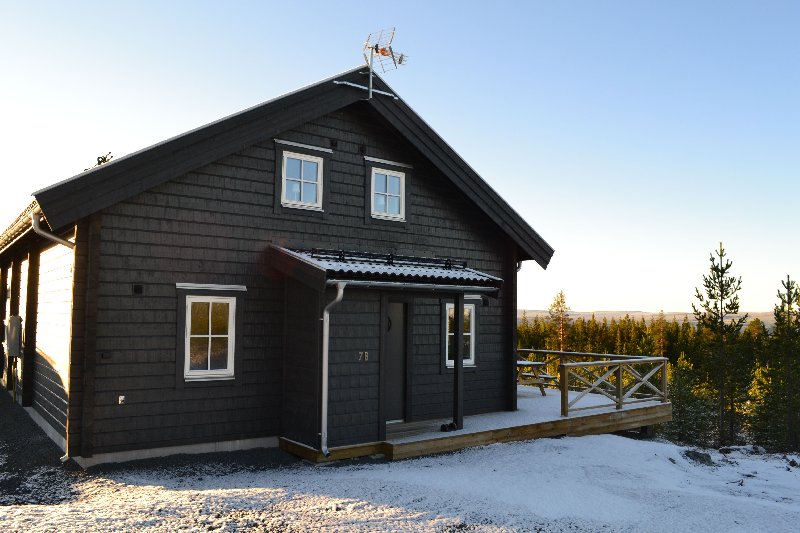 tekst