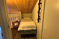 tekst