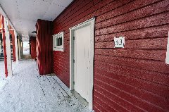 tekst