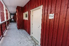 tekst