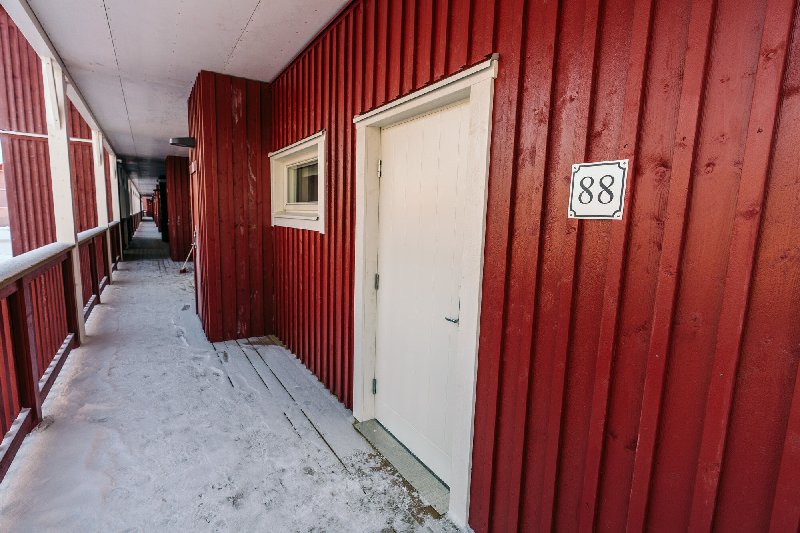 tekst