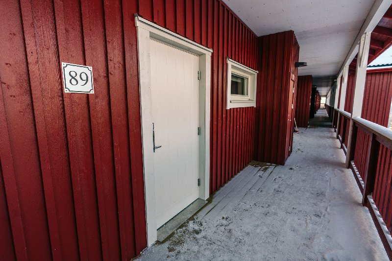 tekst