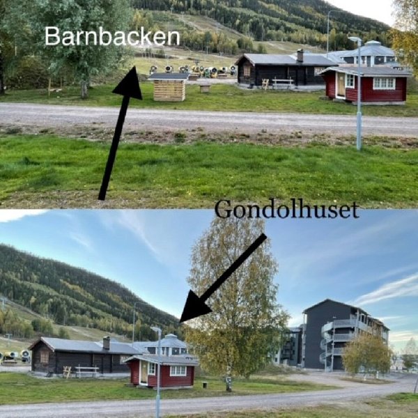 tekst