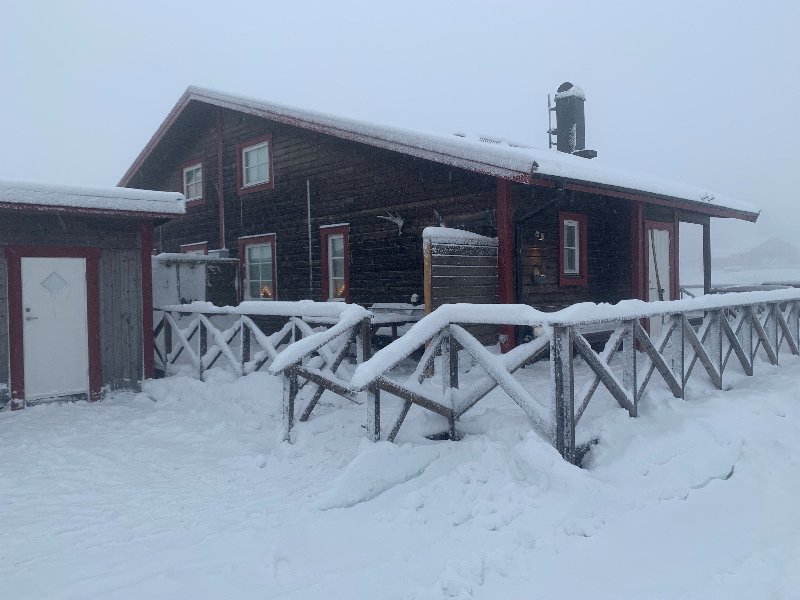 tekst