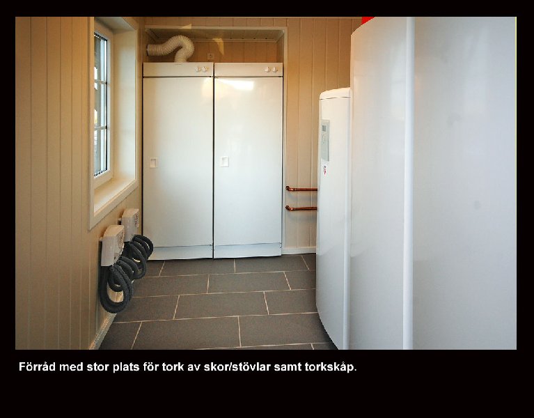 tekst