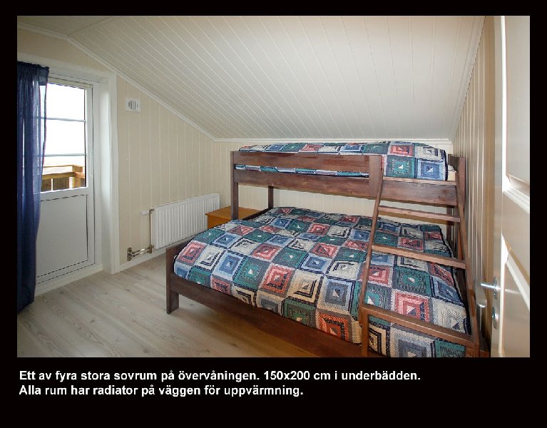 tekst