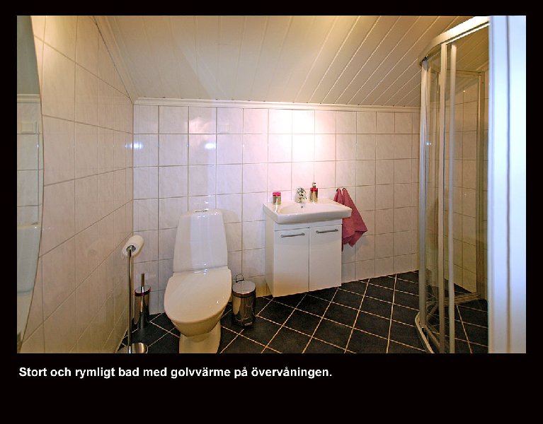 tekst