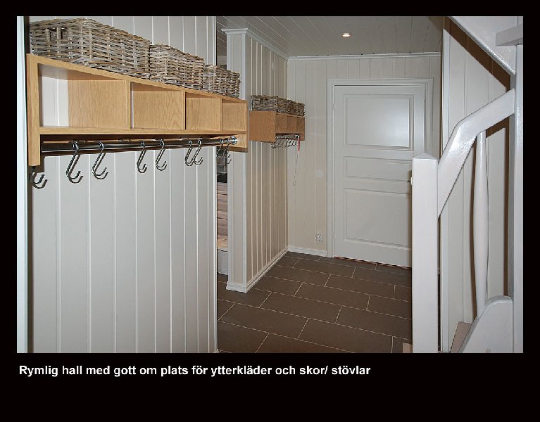 tekst