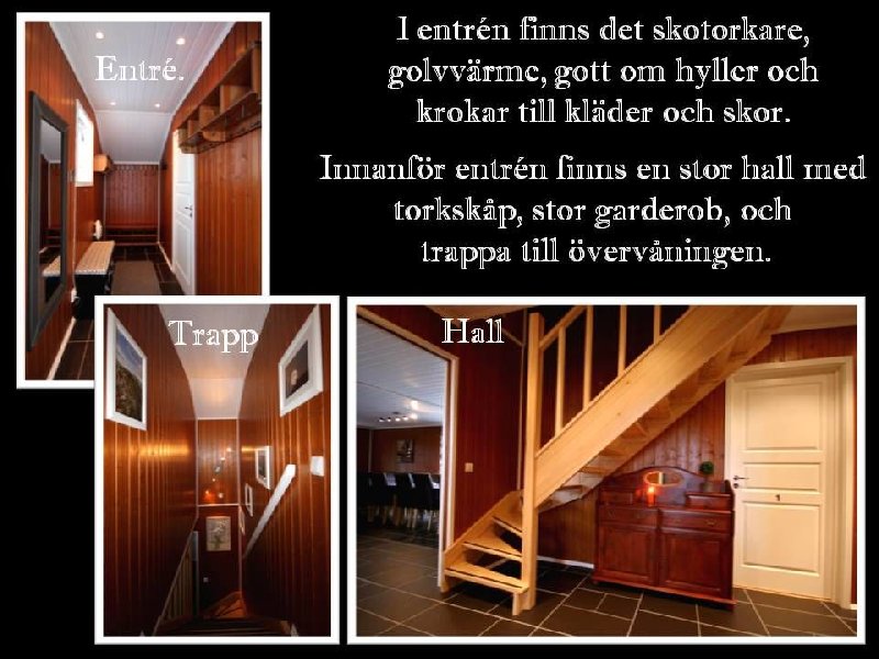 tekst