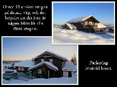 tekst