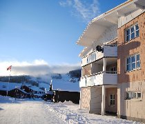 tekst