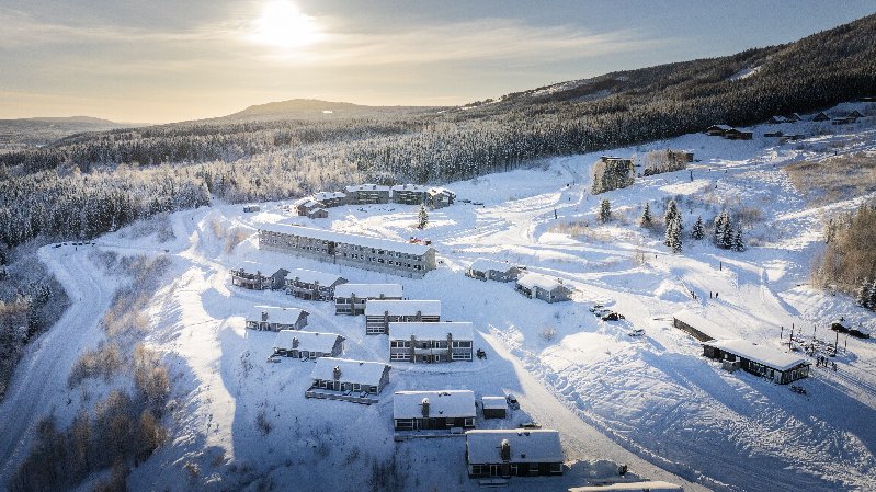 tekst