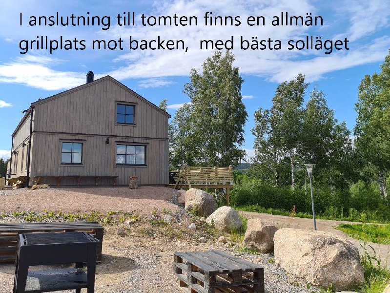 tekst