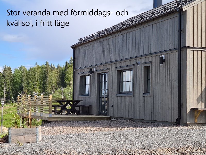 tekst