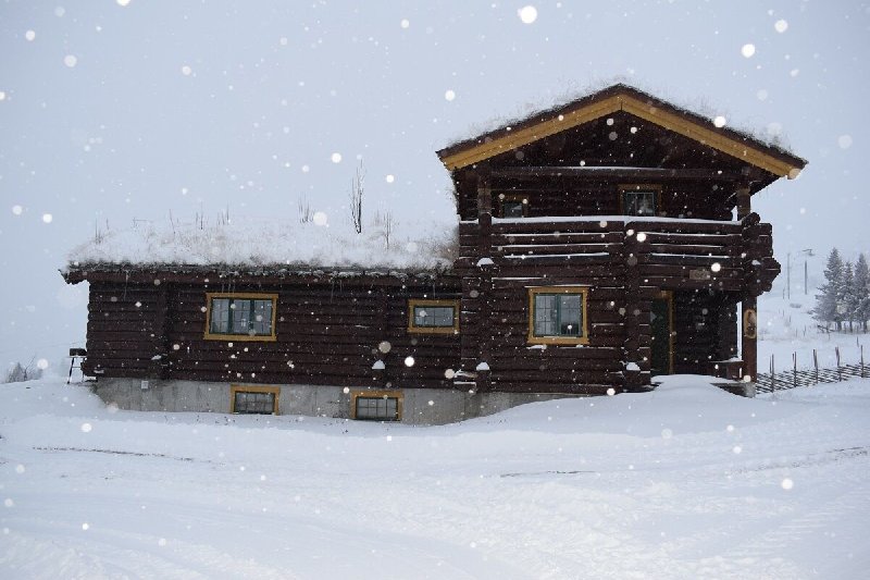 tekst