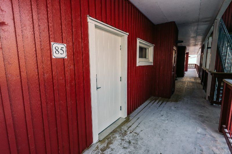 tekst