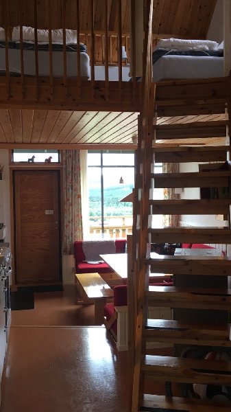 tekst