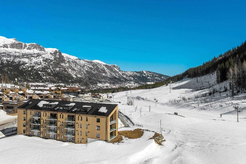 tekst