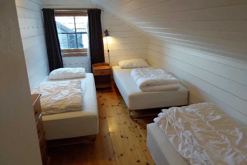 tekst