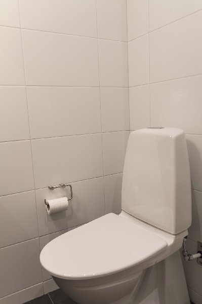 tekst