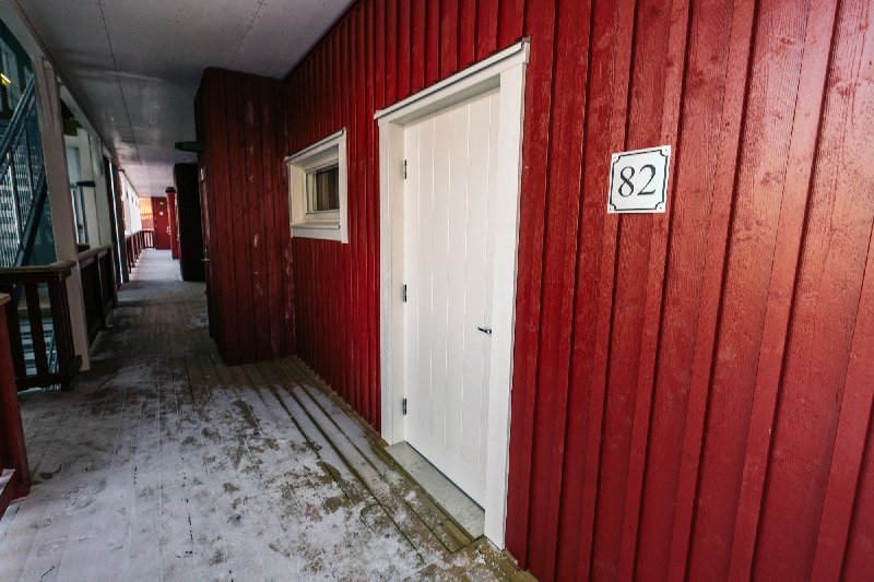 tekst