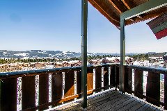 tekst