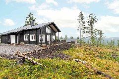 tekst
