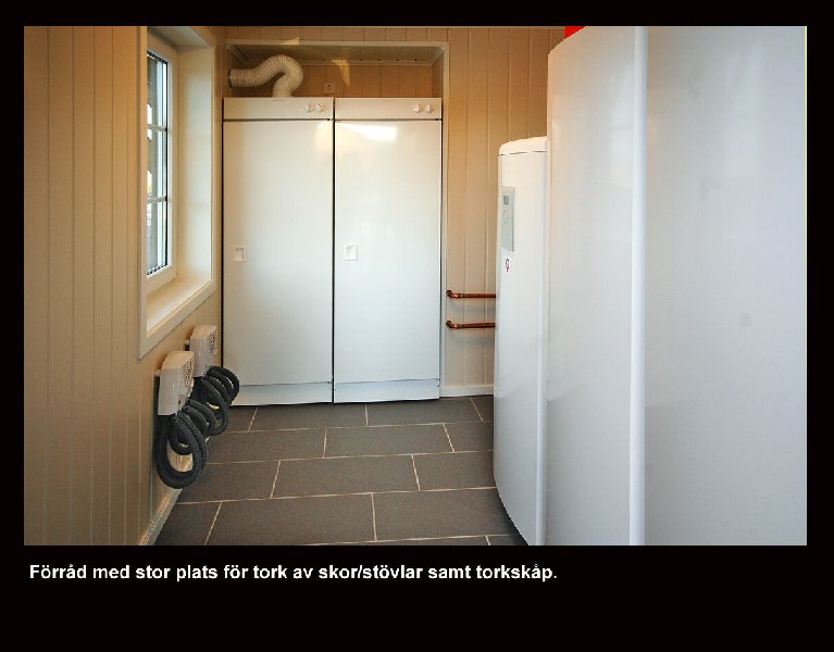 tekst