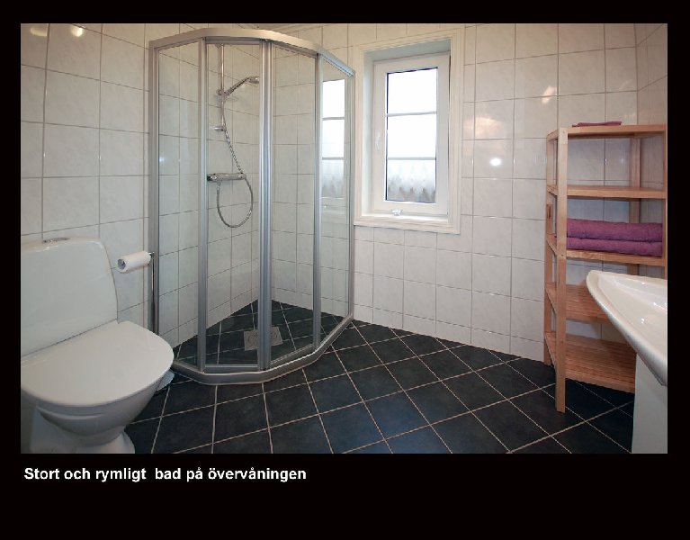 tekst