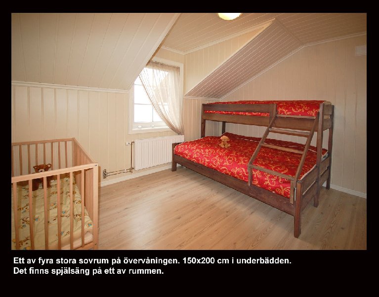 tekst