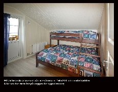 tekst