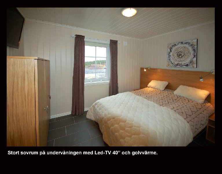 tekst