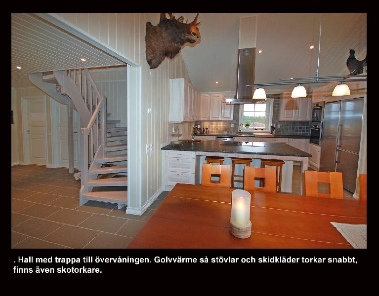 tekst