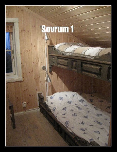 tekst