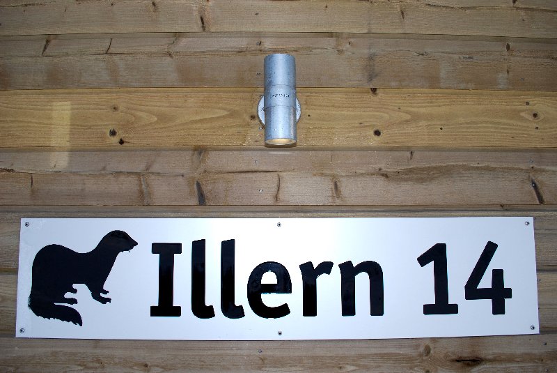 tekst