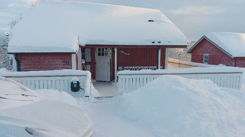 tekst